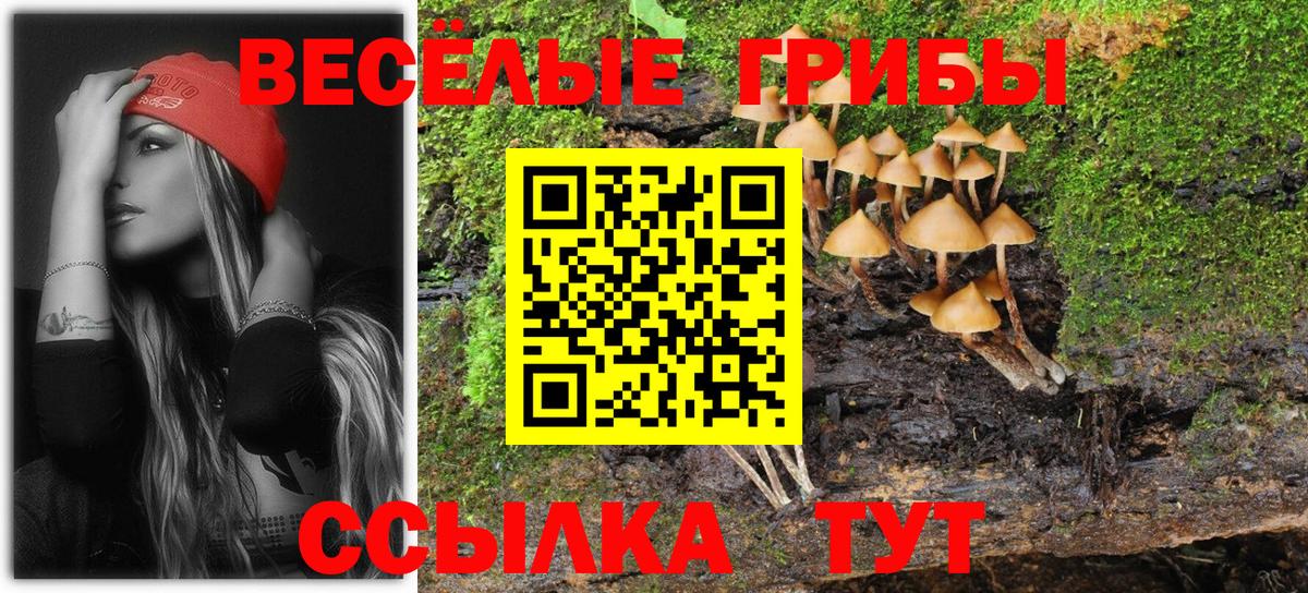 Галлюциногенные грибы MAGIC MUSHROOMS Мичуринск